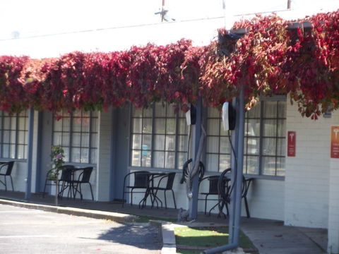 Guichen Bay Motel - ACT Tourism 23