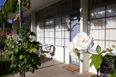 Guichen Bay Motel - ACT Tourism 33
