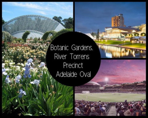 Project BNB On York - ACT Tourism 13