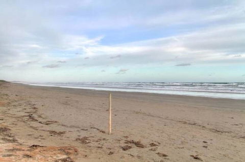 SeaWatch-Sea Views - ACT Tourism 6