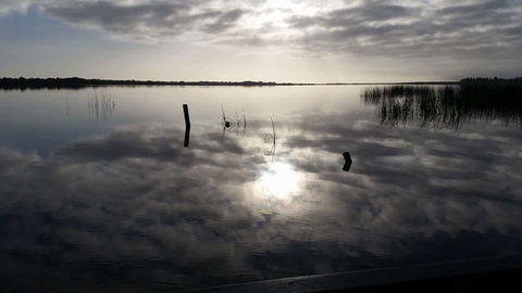 PS Federal Retreat Paddle Steamer Goolwa - ACT Tourism 16
