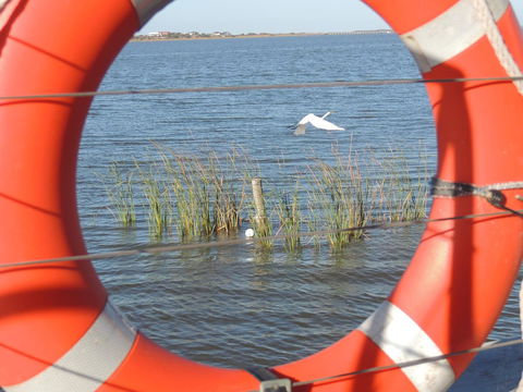 PS Federal Retreat Paddle Steamer Goolwa - ACT Tourism 18