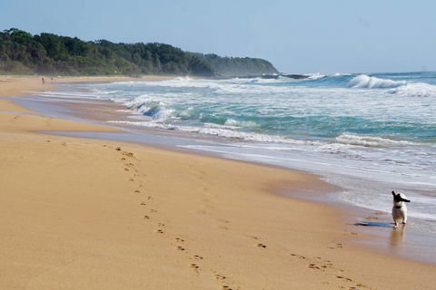 Culburra Beachhouse - ACT Tourism 7