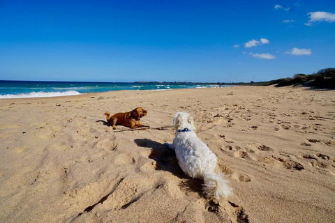 Culburra Beachhouse - ACT Tourism 8
