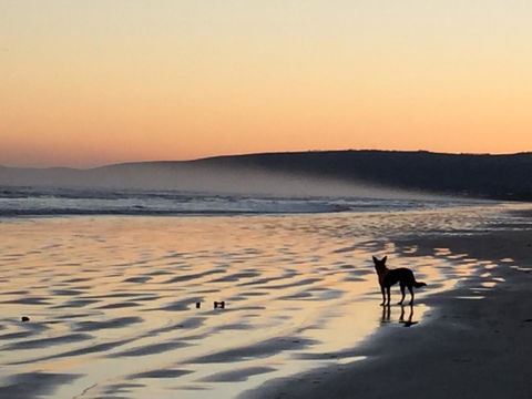 Goolwa Marinerâ€™s Cottage - Free Wifi And Pet Friendly - Centrally Located In Historic Region - ACT Tourism 35