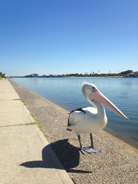 Lakeside - ACT Tourism 12