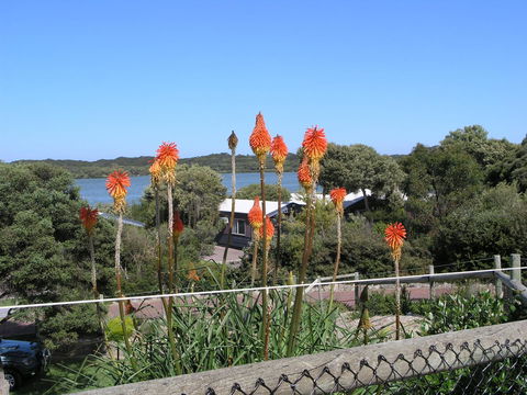 Lakeside Tourist Park - ACT Tourism 3