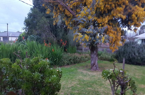 Ruby\'s Cottage - ACT Tourism 19