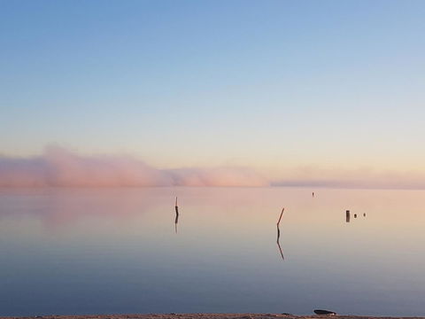 Barmera Lake Resort Motel - ACT Tourism 3