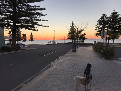 BIG4 Ceduna Tourist Park - ACT Tourism 34