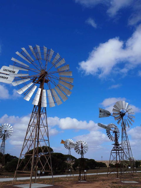 BIG4 Ceduna Tourist Park - ACT Tourism 33