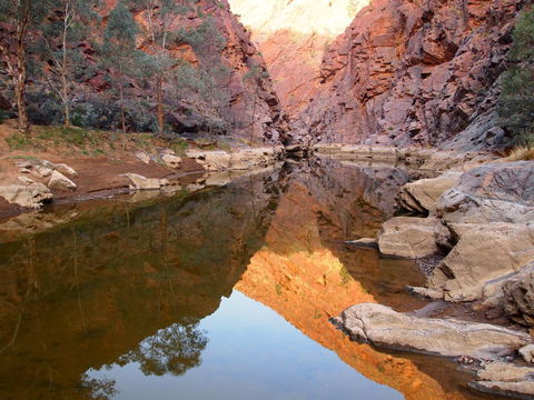 Arkaroola Wilderness Sanctuary - ACT Tourism 6