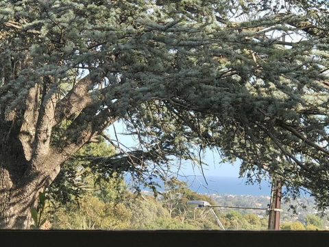 Stunning House With Beautiful Entertainment Area!! - ACT Tourism 8
