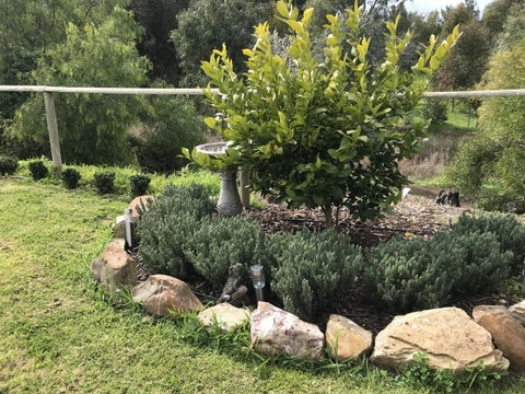 Adagio In Auburn - ACT Tourism 18