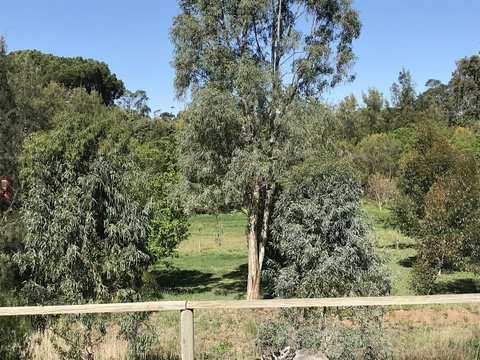 Adagio In Auburn - ACT Tourism 25