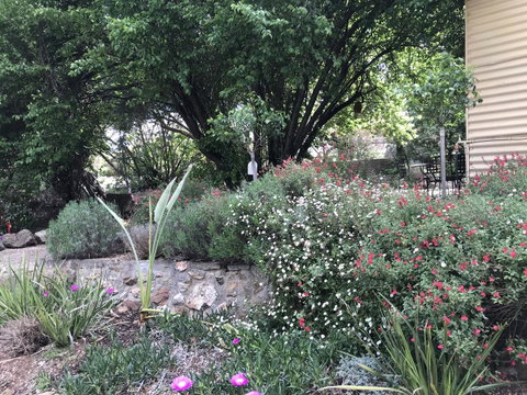 Adagio In Auburn - ACT Tourism 10