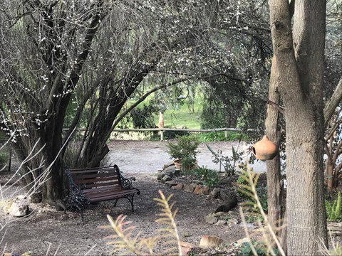 Adagio In Auburn - ACT Tourism 17