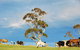 Back Valley Farmstay Bed And Breakfast - thumb 18