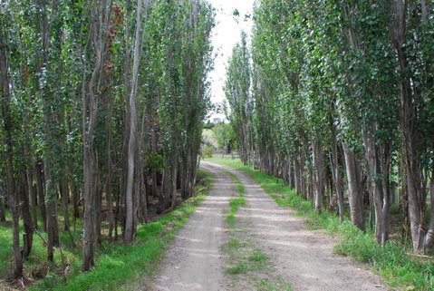 Back Valley Farmstay Bed And Breakfast - ACT Tourism 2