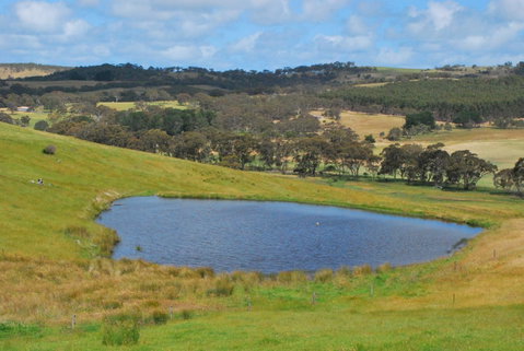 Back Valley Farmstay Bed And Breakfast - ACT Tourism 19