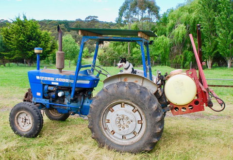Back Valley Farmstay Bed And Breakfast - ACT Tourism 14