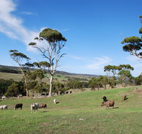 Lisieux Farm Bed and Breakfast - ACT Tourism