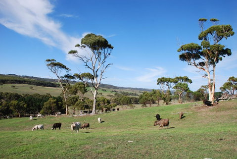 Back Valley Farmstay Bed And Breakfast - ACT Tourism 0