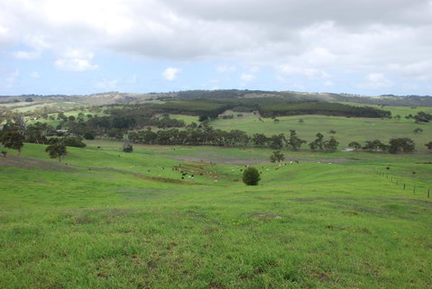 Back Valley Farmstay Bed And Breakfast - ACT Tourism 15