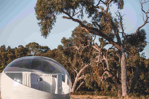 Coonawarra Bubble Tents - ACT Tourism 10