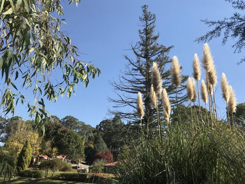 Forest Lodge Resort - ACT Tourism 24