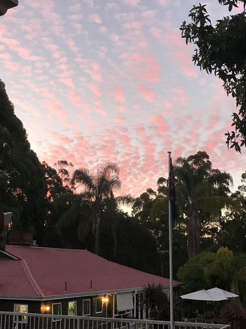 Forest Lodge Resort - ACT Tourism 44