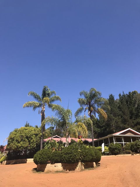 Forest Lodge Resort - ACT Tourism 0