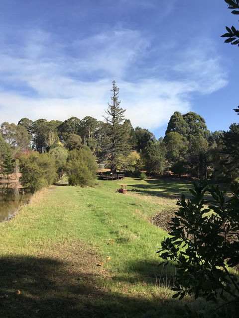 Forest Lodge Resort - ACT Tourism 31