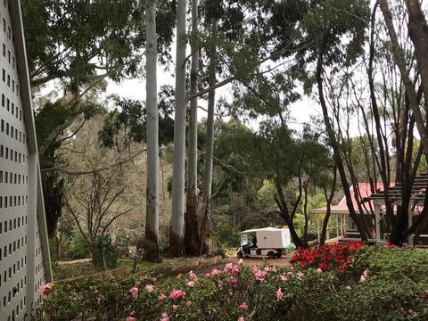 Forest Lodge Resort - ACT Tourism 11