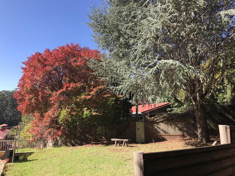 Forest Lodge Resort - ACT Tourism 42