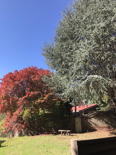 Forest Lodge Resort - ACT Tourism 35