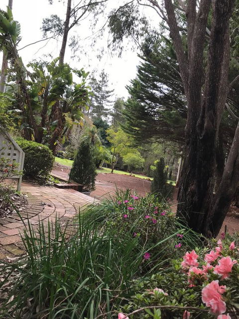 Forest Lodge Resort - ACT Tourism 10