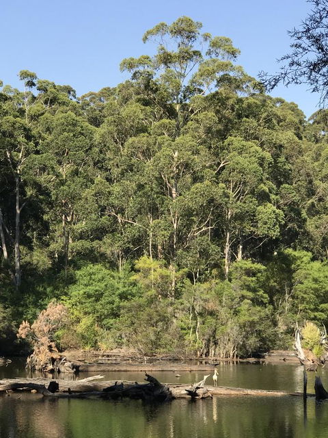 Forest Lodge Resort - ACT Tourism 22