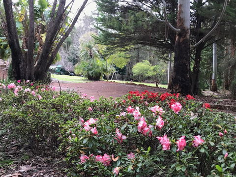 Forest Lodge Resort - ACT Tourism 12