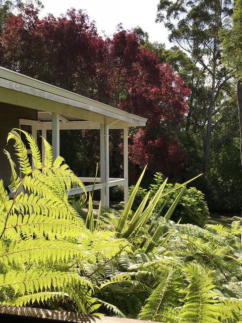 Forest Lodge Resort - ACT Tourism 14