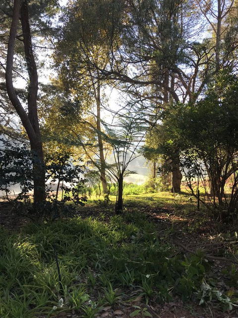 Forest Lodge Resort - ACT Tourism 33