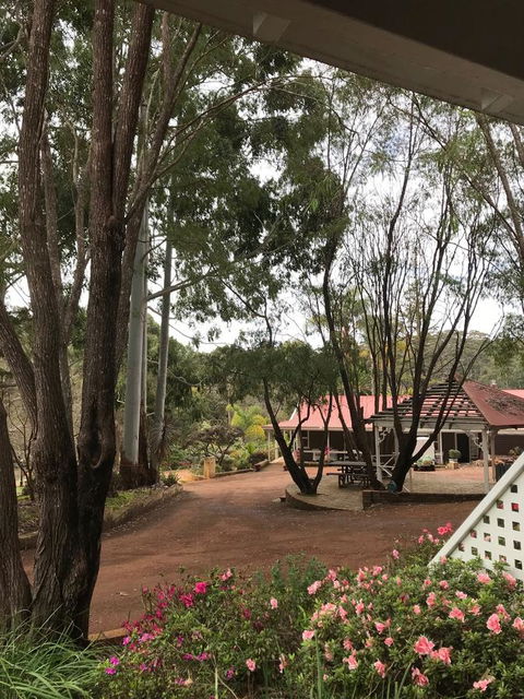 Forest Lodge Resort - ACT Tourism 9