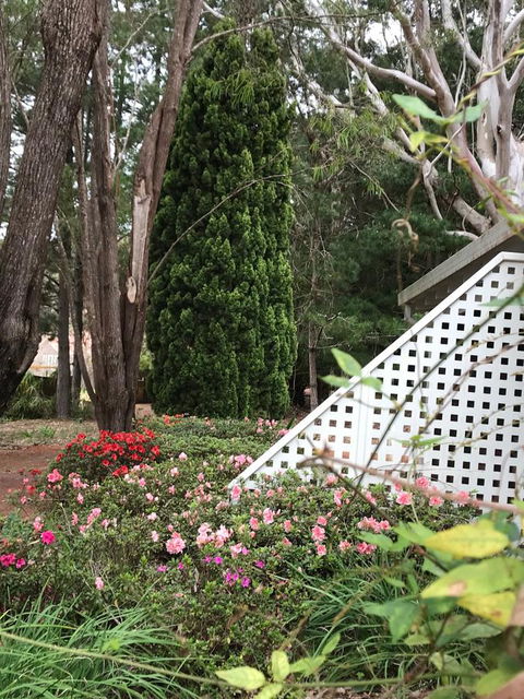 Forest Lodge Resort - ACT Tourism 7