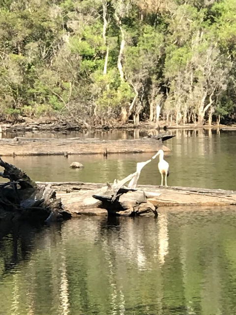 Forest Lodge Resort - ACT Tourism 25