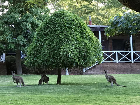 Forest Lodge Resort - ACT Tourism 1