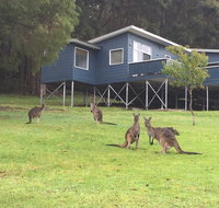 Blue House Denmark - ACT Tourism