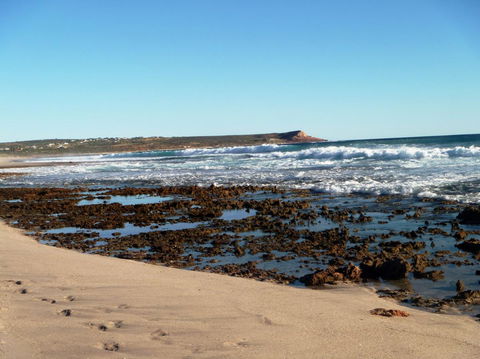 Kanga Cottage - ACT Tourism 31