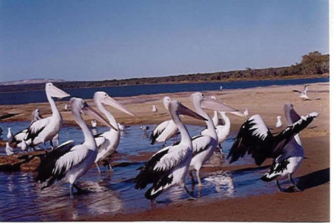 Unit 42 Kalbarri Beach Resort - ACT Tourism 17
