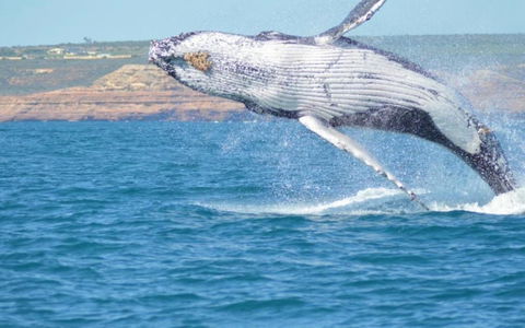 Unit 42 Kalbarri Beach Resort - ACT Tourism 21