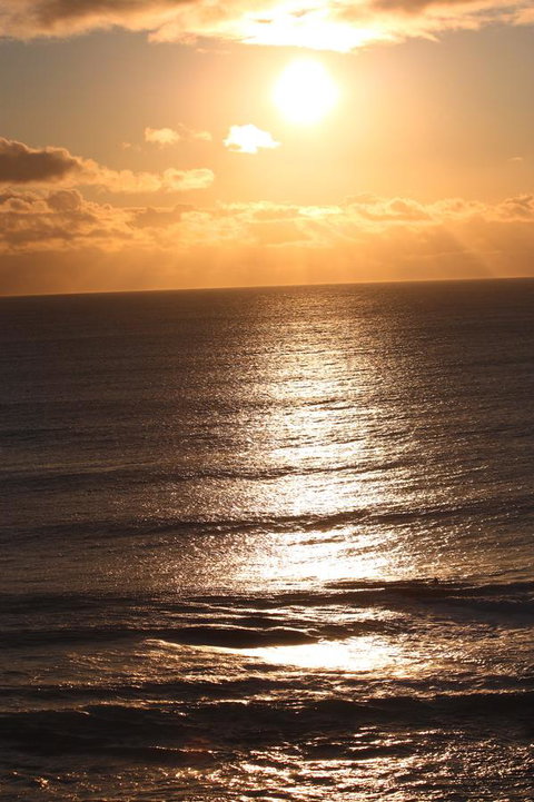 Riverview Tourist Park - ACT Tourism 32